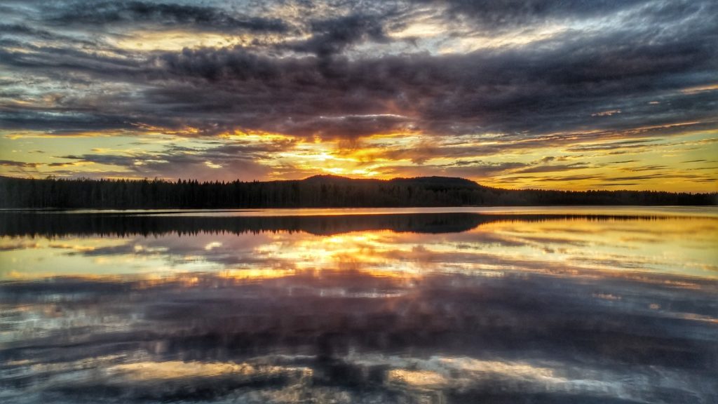 Boden björknäs